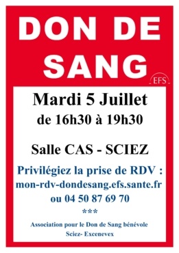Hommage aux 450 fusillés de la Résistance en Haute-Savoie 3