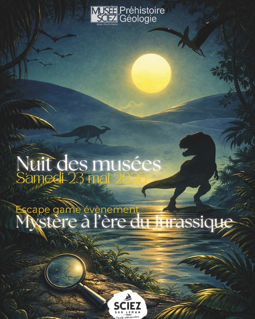 Nuit des musées 1