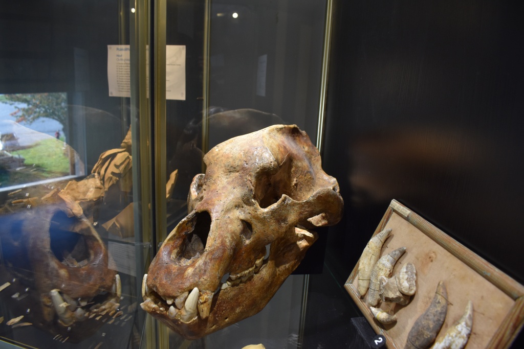 Les Expositions 2