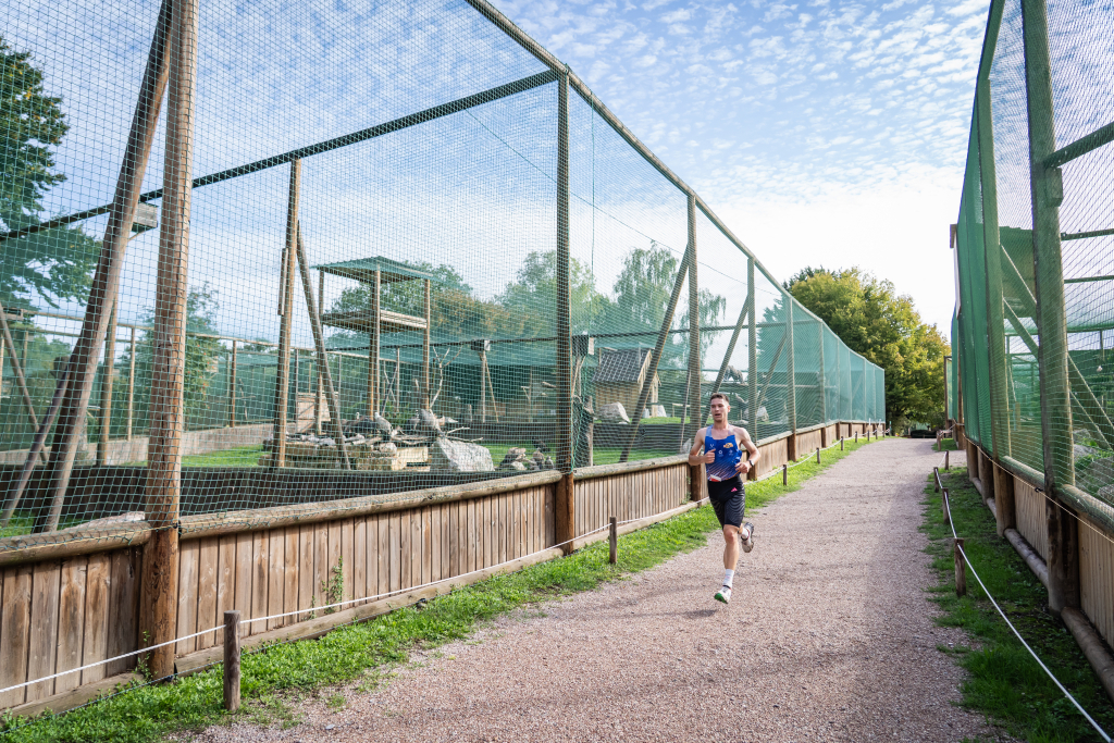 L'espace dédié à cet événement sportif ! 16