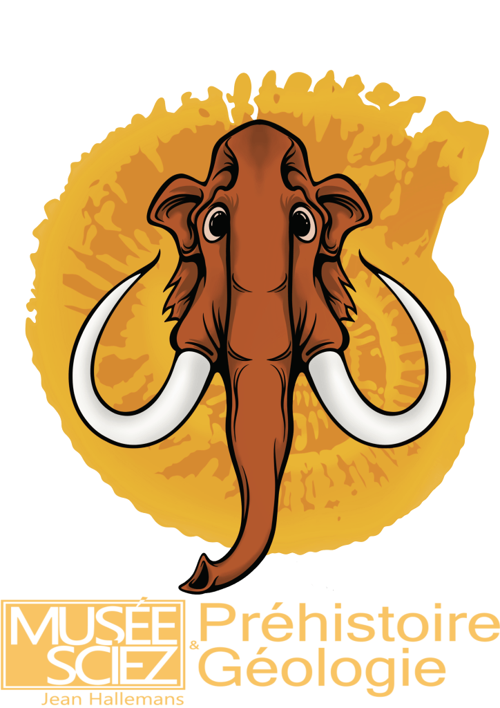 [CULTURE] Vacances de printemps : animations au Musée de Préhistoire et Géologie 1